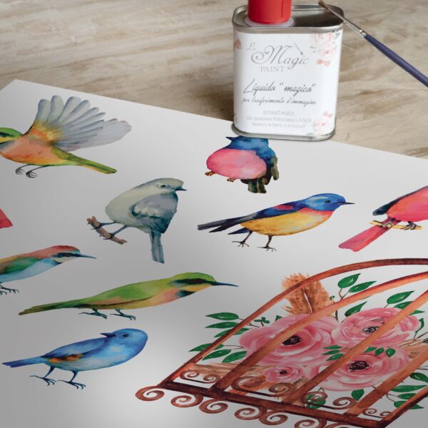 Stampa Trasferibile "PRIMAVERA, RAINBOW BIRDS" 28X40 cm