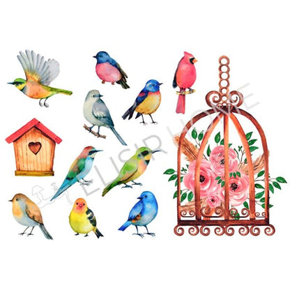 Stampa Trasferibile "PRIMAVERA, RAINBOW BIRDS" 28X40 cm