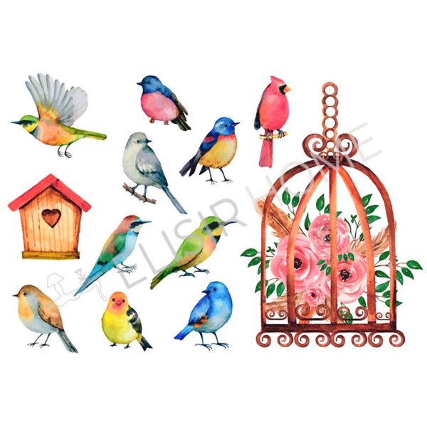 Stampa Trasferibile "PRIMAVERA, RAINBOW BIRDS" 28X40 cm