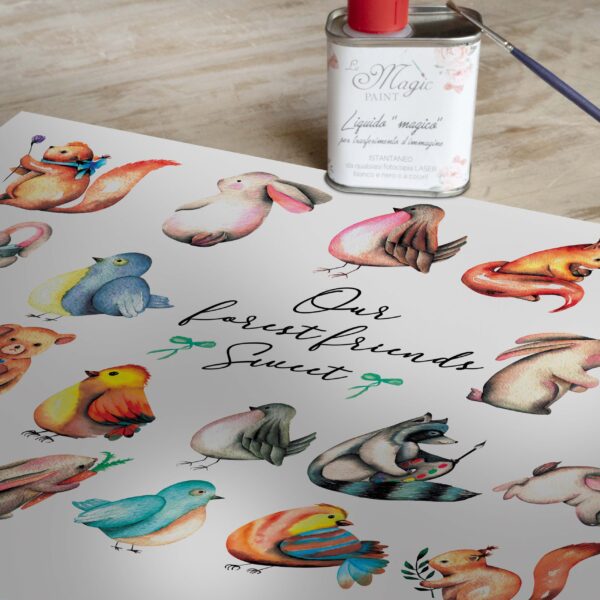 Stampa Trasferibile "PRIMAVERA, SWEET FRIENDS" 28X40 cm